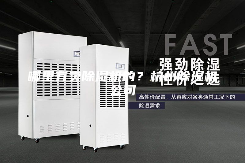 哪里有賣(mài)除濕機(jī)的？杭州除濕機(jī)公司
