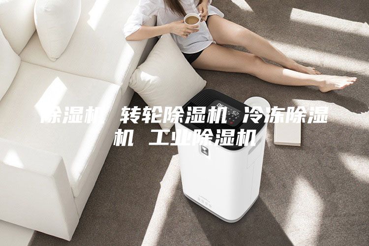 除濕機(jī) 轉(zhuǎn)輪除濕機(jī) 冷凍除濕機(jī) 工業(yè)除濕機(jī)