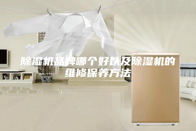 除濕機(jī)品牌哪個(gè)好以及除濕機(jī)的維修保養(yǎng)方法