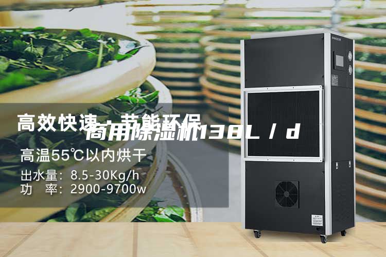 商用除濕機138L/d