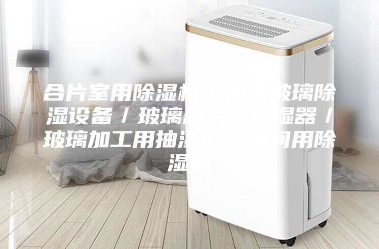 合片室用除濕機(jī)／夾層玻璃除濕設(shè)備／玻璃合片室除濕器／玻璃加工用抽濕機(jī)／車間用除濕機(jī)