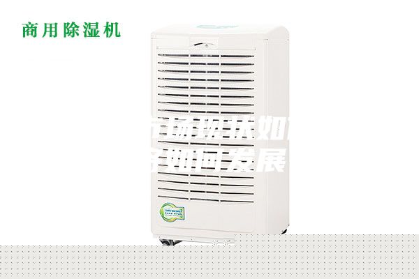 除濕機市場現(xiàn)狀如何未來將如何發(fā)展