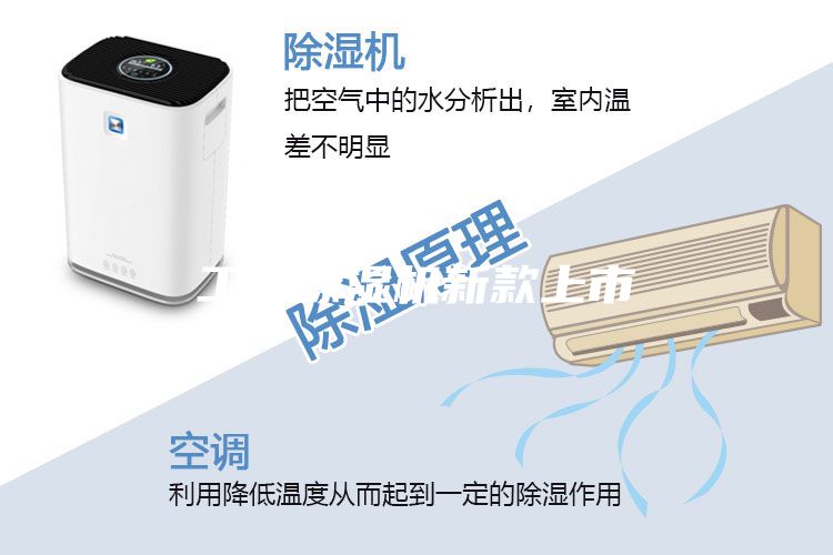 工業(yè)除濕機(jī)新款上市