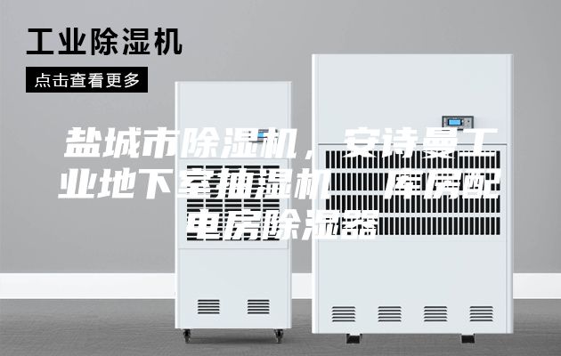 鹽城市除濕機(jī)，安詩(shī)曼工業(yè)地下室抽濕機(jī)  庫(kù)房配電房除濕器