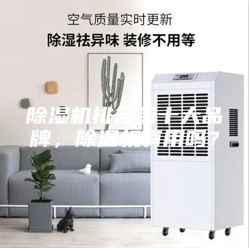 除濕機(jī)排名前十大品牌，除濕機(jī)有用嗎？