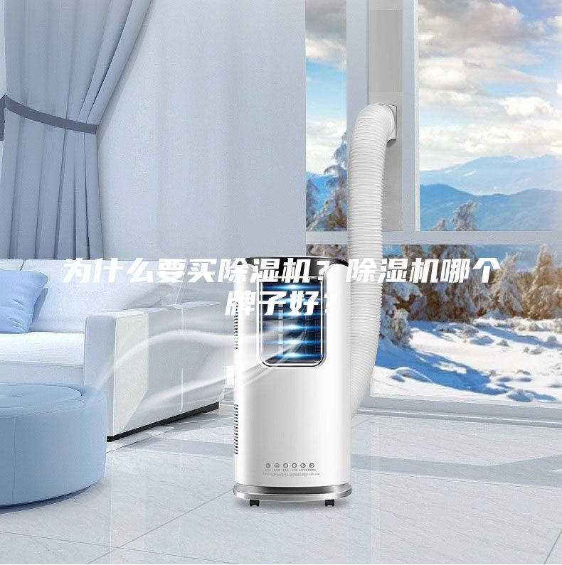 為什么要買除濕機(jī)？除濕機(jī)哪個(gè)牌子好？