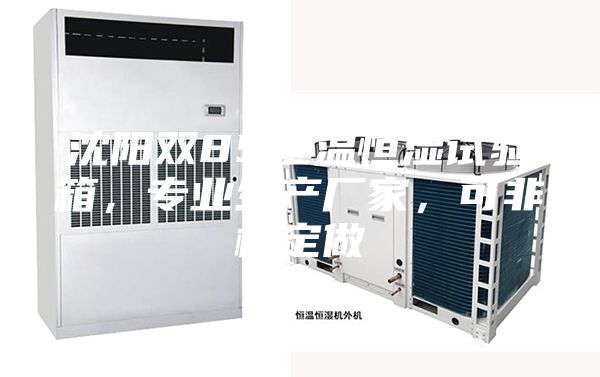 沈陽雙85恒溫恒濕試驗箱，專業(yè)生產(chǎn)廠家，可非標(biāo)定做