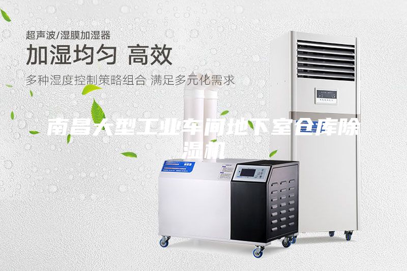 南昌大型工業(yè)車(chē)間地下室倉(cāng)庫(kù)除濕機(jī)