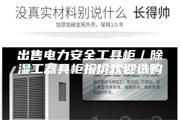 出售電力安全工具柜／除濕工器具柜報(bào)價(jià)歡迎選購