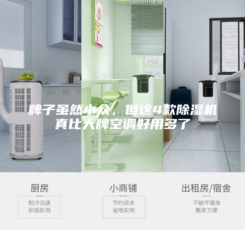 牌子雖然小眾，但這4款除濕機真比大牌空調(diào)好用多了