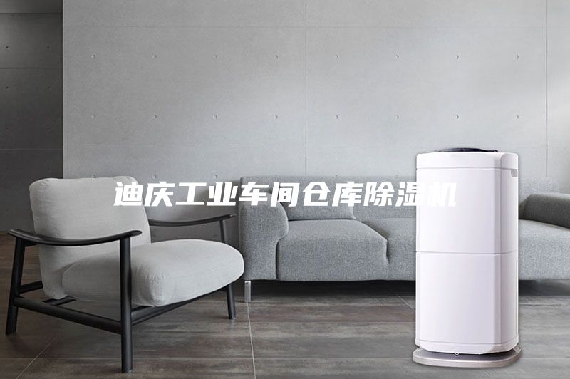 迪慶工業(yè)車間倉庫除濕機(jī)