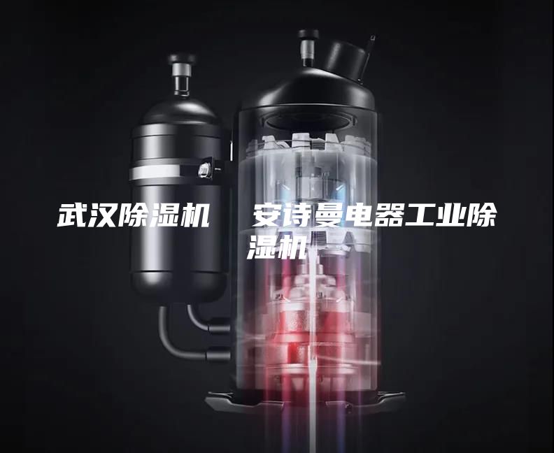武漢除濕機  安詩曼電器工業除濕機