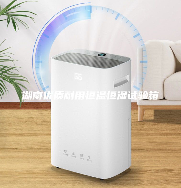 湖南優(yōu)質(zhì)耐用恒溫恒濕試驗(yàn)箱