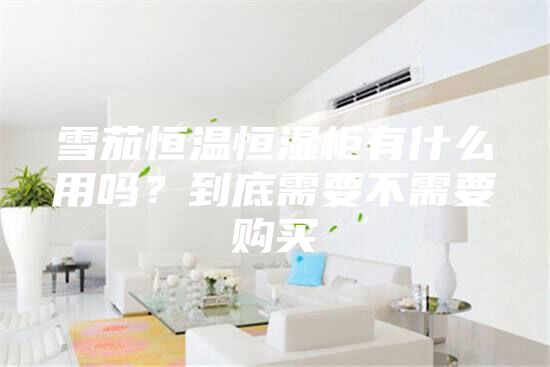 雪茄恒溫恒濕柜有什么用嗎？到底需要不需要購(gòu)買(mǎi)