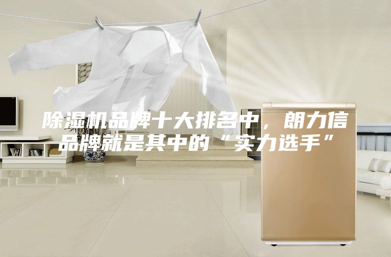 除濕機(jī)品牌十大排名中，朗力信品牌就是其中的“實(shí)力選手”