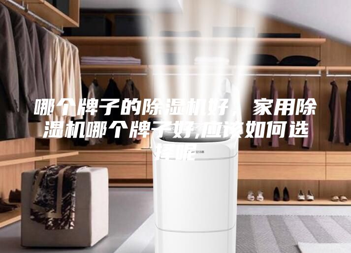 哪個牌子的除濕機(jī)好，家用除濕機(jī)哪個牌子好,應(yīng)該如何選擇呢