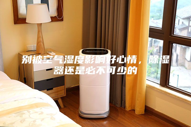 別被空氣濕度影響好心情，除濕器還是必不可少的