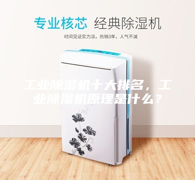 工業除濕機十大排名，工業除濕機原理是什么？