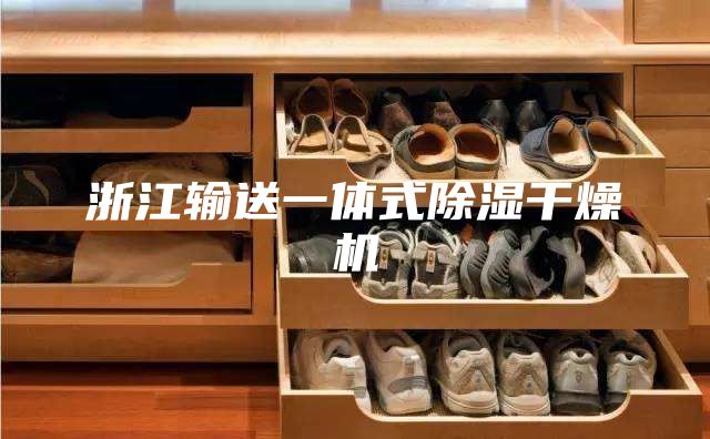 浙江輸送一體式除濕干燥機(jī)