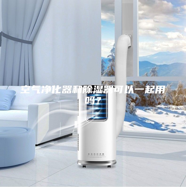 空氣凈化器和除濕器可以一起用嗎？
