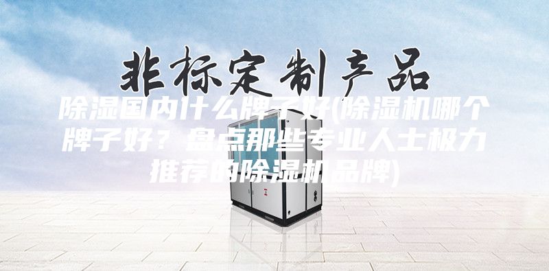 除濕國(guó)內(nèi)什么牌子好(除濕機(jī)哪個(gè)牌子好？盤點(diǎn)那些專業(yè)人士極力推薦的除濕機(jī)品牌)