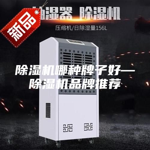 除濕機(jī)哪種牌子好—除濕機(jī)品牌推薦
