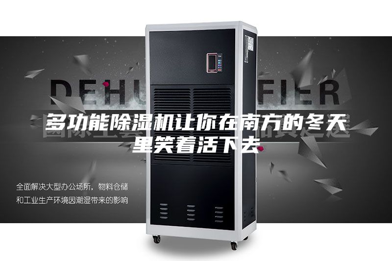 多功能除濕機(jī)讓你在南方的冬天里笑著活下去
