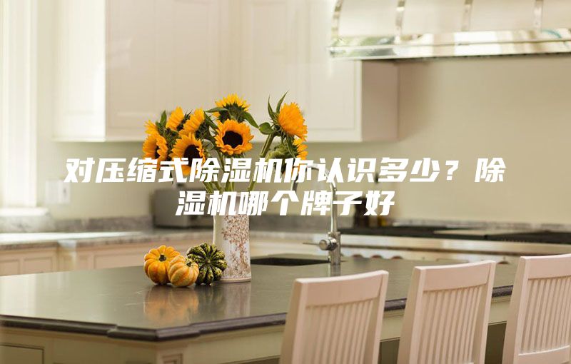 對(duì)壓縮式除濕機(jī)你認(rèn)識(shí)多少？除濕機(jī)哪個(gè)牌子好