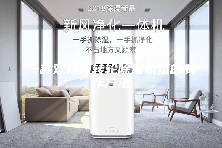 一種雙排風(fēng)轉(zhuǎn)輪除濕機組的制作方法