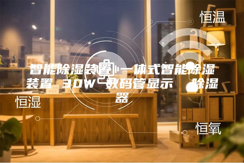 智能除濕裝置 一體式智能除濕裝置 30W 數(shù)碼管顯示  除濕器