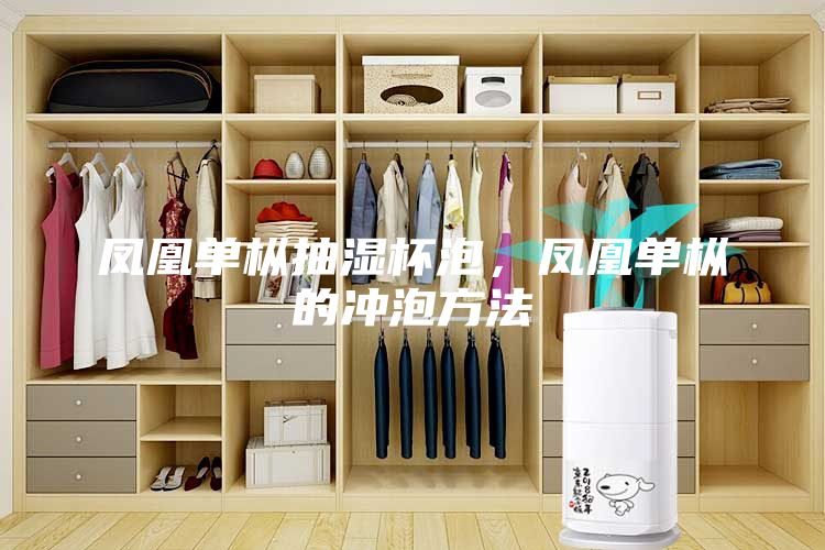鳳凰單樅抽濕杯泡，鳳凰單樅的沖泡方法