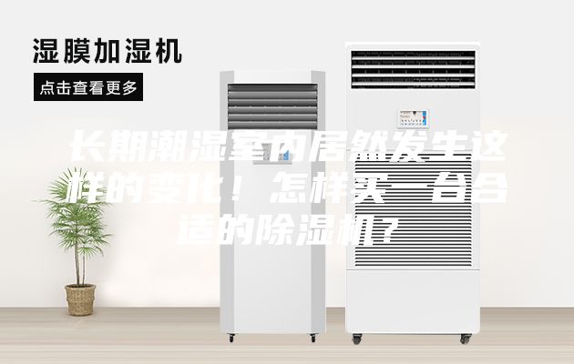 長期潮濕室內居然發生這樣的變化！怎樣買一臺合適的除濕機？