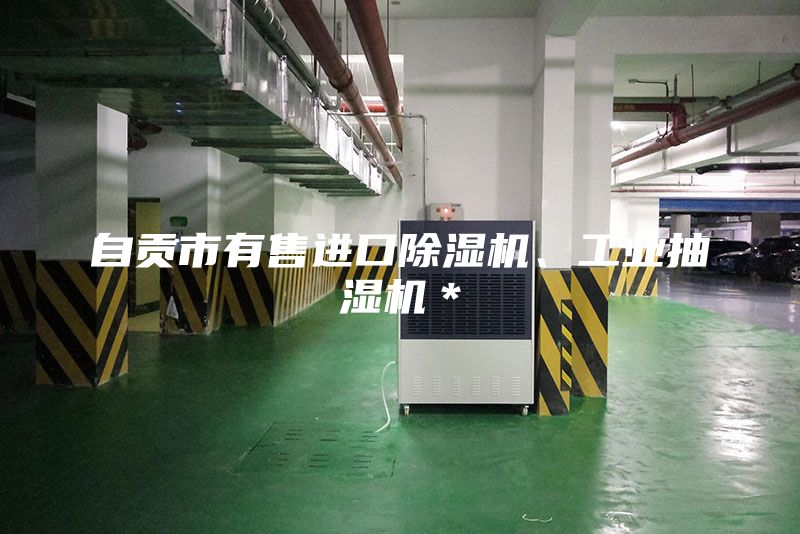 自貢市有售進口除濕機、工業抽濕機＊