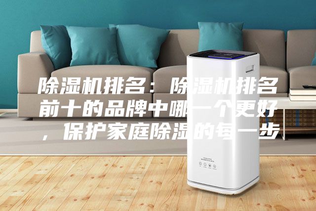 除濕機(jī)排名：除濕機(jī)排名前十的品牌中哪一個(gè)更好，保護(hù)家庭除濕的每一步