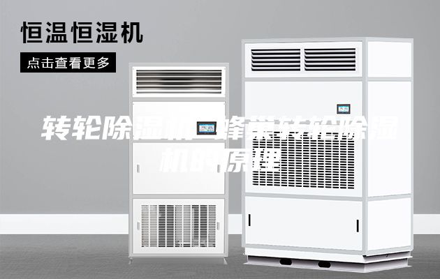 轉(zhuǎn)輪除濕機 蜂巢轉(zhuǎn)輪除濕機的原理