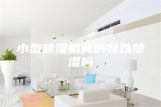 小型除濕機真的可以除濕嗎
