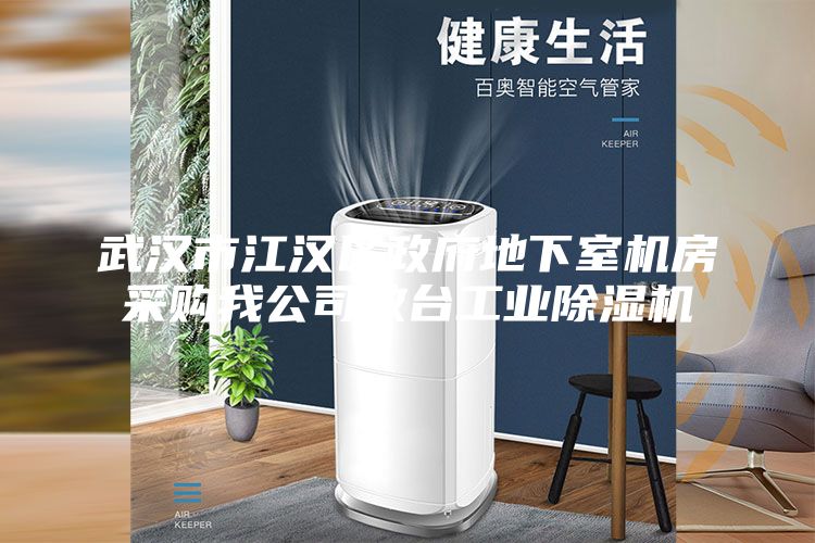 武漢市江漢區(qū)政府地下室機房采購我公司數(shù)臺工業(yè)除濕機