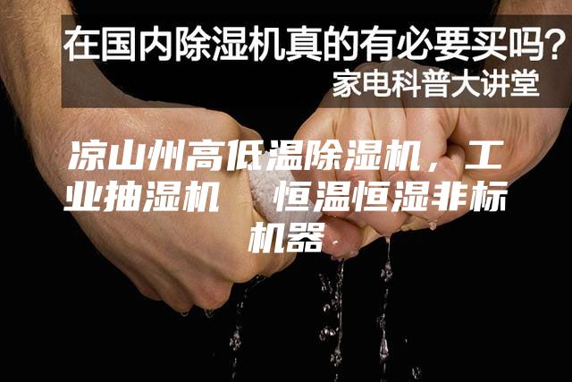 涼山州高低溫除濕機(jī),工業(yè)抽濕機(jī) 恒溫恒濕非標(biāo)機(jī)器