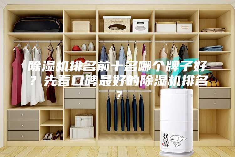 除濕機排名前十名哪個牌子好?先看口碑最好的除濕機排名?