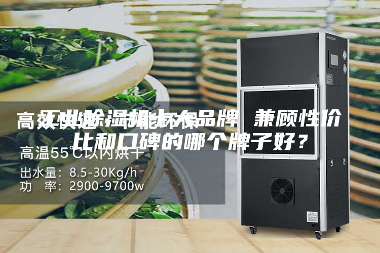 工業(yè)除濕機(jī)十大品牌 兼顧性價(jià)比和口碑的哪個(gè)牌子好？