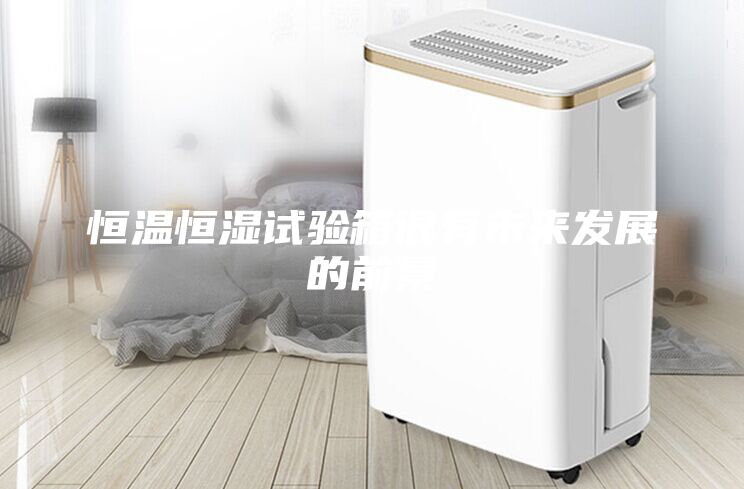恒溫恒濕試驗箱很有未來發(fā)展的前景