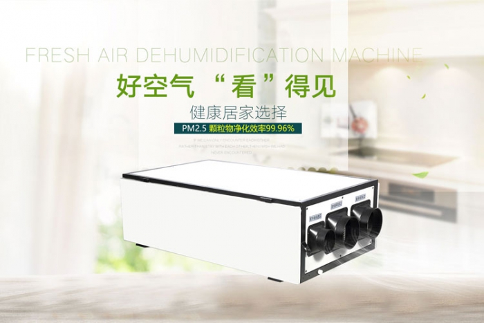 家用除濕機減少夏季悶熱，防止疾病