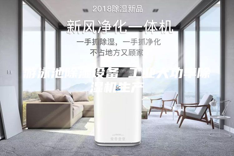 游泳池除濕設(shè)備 工業(yè)大功率除濕機(jī)生產(chǎn)