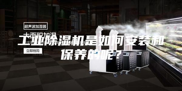 工業(yè)除濕機是如何安裝和保養(yǎng)的呢？