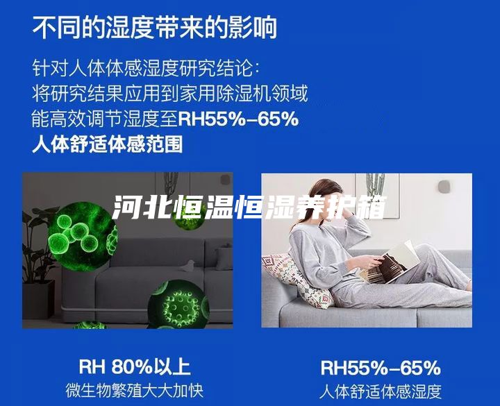 河北恒溫恒濕養(yǎng)護(hù)箱