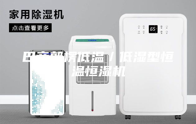 巴音郭楞低溫／低濕型恒溫恒濕機(jī)