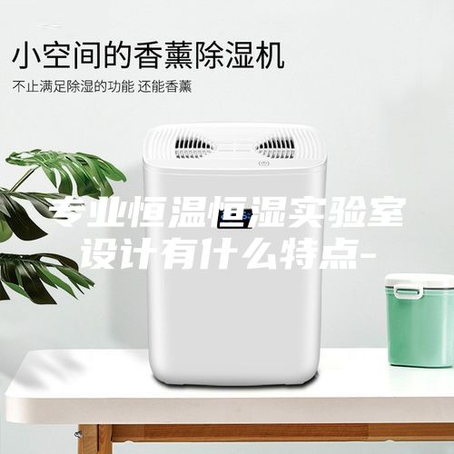 專業(yè)恒溫恒濕實驗室設(shè)計有什么特點-