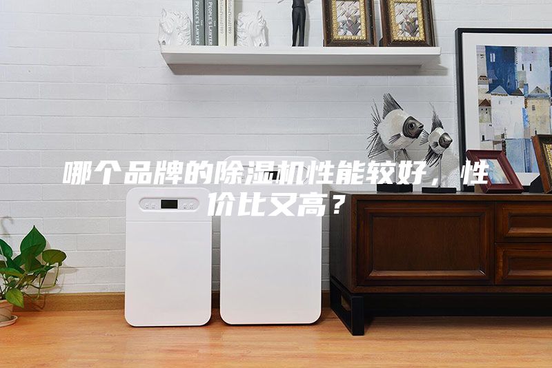哪個品牌的除濕機性能較好,性價比又高?