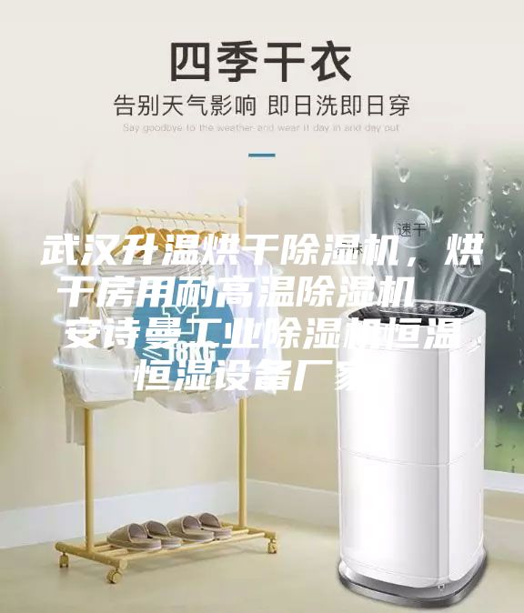 武漢升溫烘干除濕機，烘干房用耐高溫除濕機  安詩曼工業除濕機恒溫恒濕設備廠家！