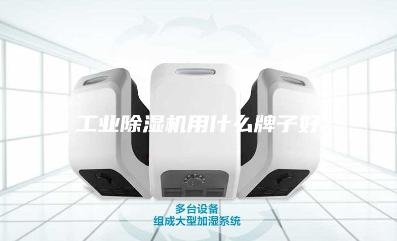 工業除濕機用什么牌子好